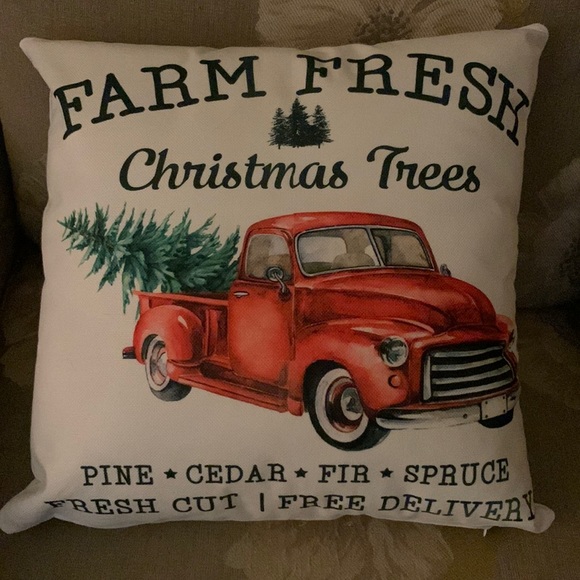 Hand Crafted Other - Accent pillow cover